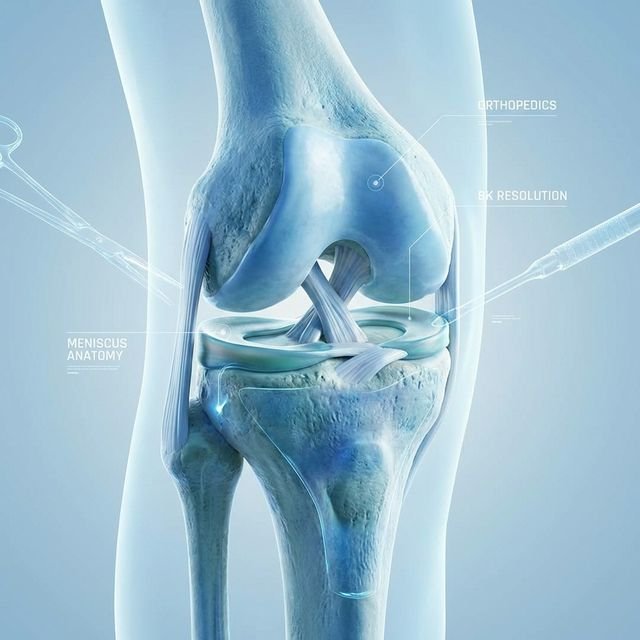 Menisco